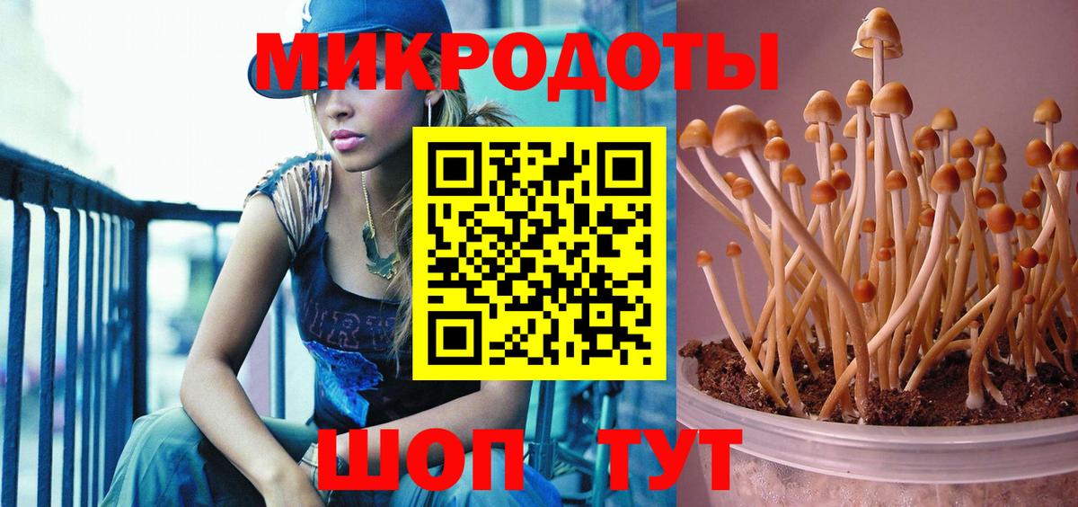 Еманжелинск  Галлюциногенные грибы мицелий  Вход с VPN 